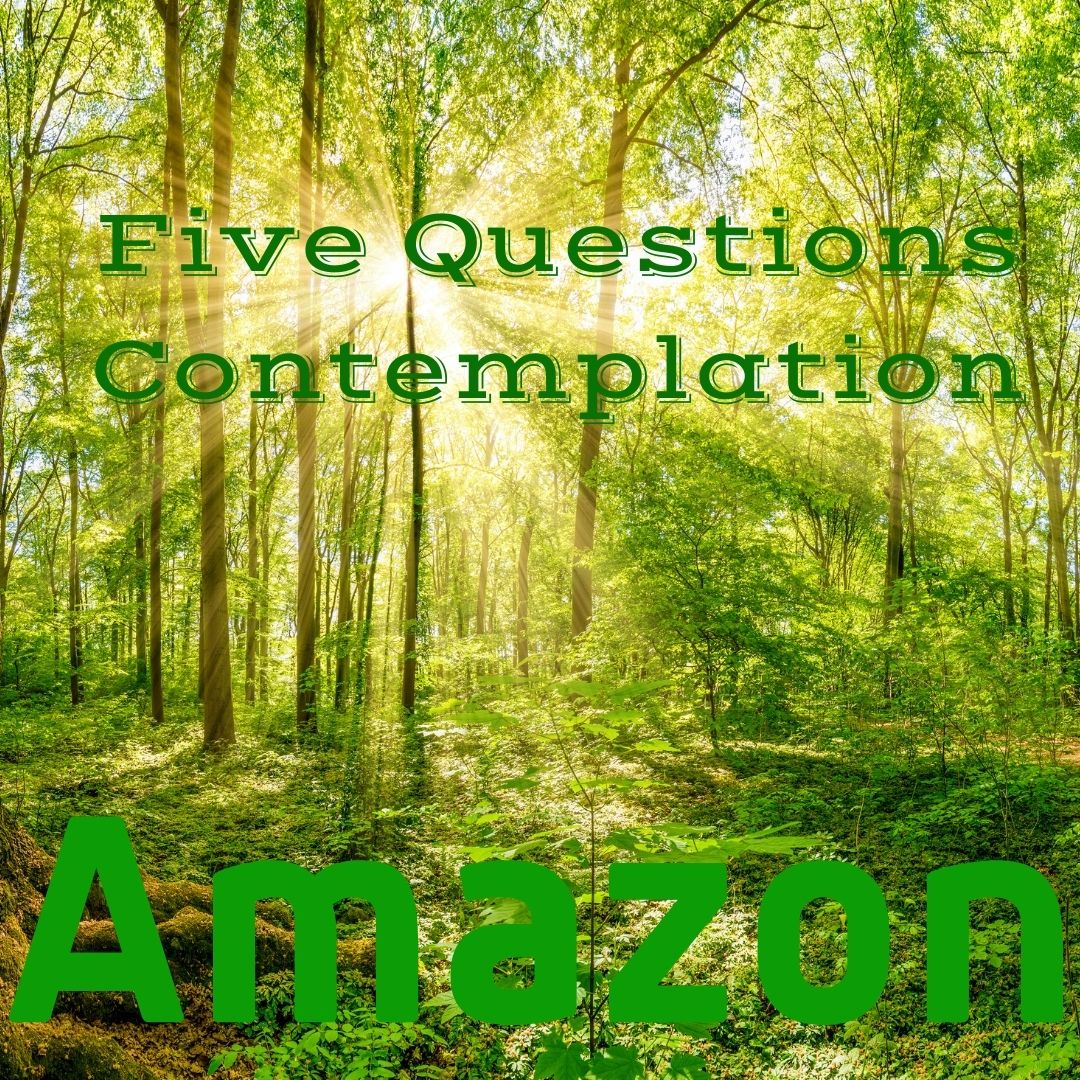 Amazon Five Questions Contemplation - The Farm for Wellbeing