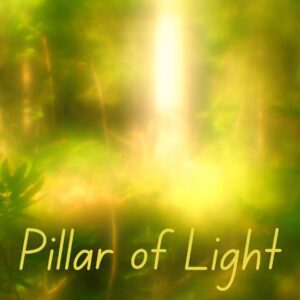 light pillar in a green forest